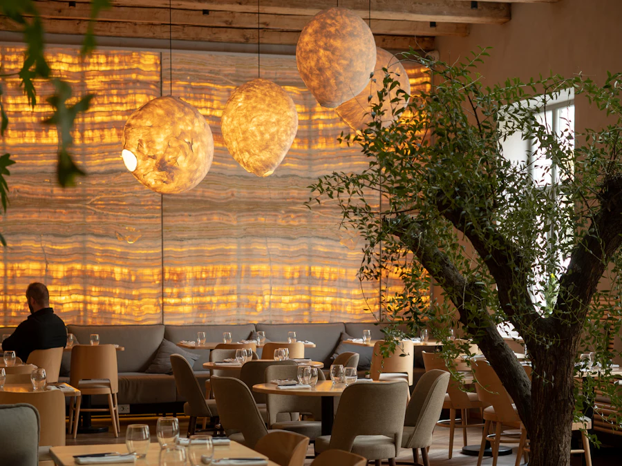 Dining room in golden evening light, tables set beneath an olive tree
